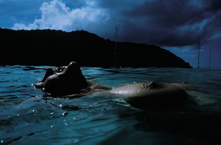 fe70dec4eee9fa53d39e0f8aca7c74cb